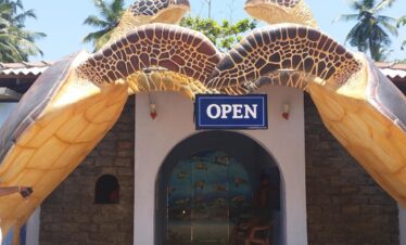 Kosgoda Sea Turtle Conservation Project