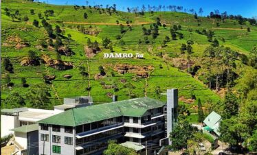 Damro Labookellie Tea Centre and Tea Garden