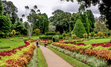 Peridenya-Gardens