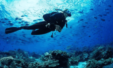 scuba diving