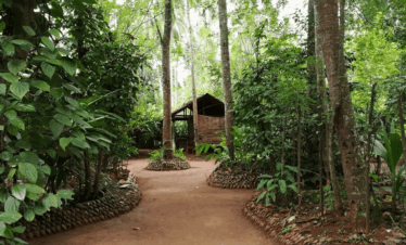 spice garden
