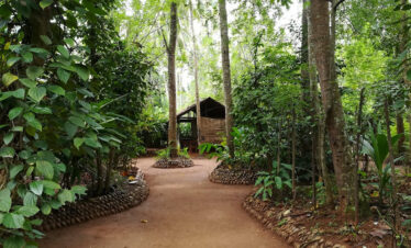 Spice-Garden-Sri-Lanka