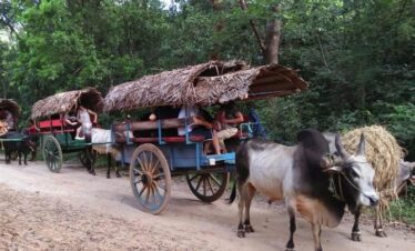 Sigiriya Village Tour and Lunch