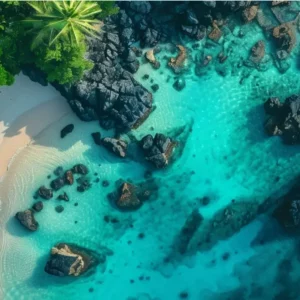Aerial-View-of-a-Tropical-Beach.webp